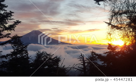 七面山からの富士山の元旦のご来光３ 45447281