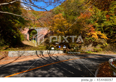碓氷第六橋梁の紅葉 45448097