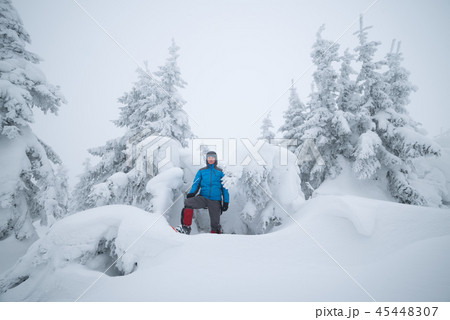 Hiker in snowy forest Hiker in snowy forest 45448307