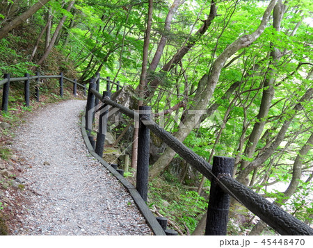 新緑の那須塩原 新緑の那須塩原 45448470