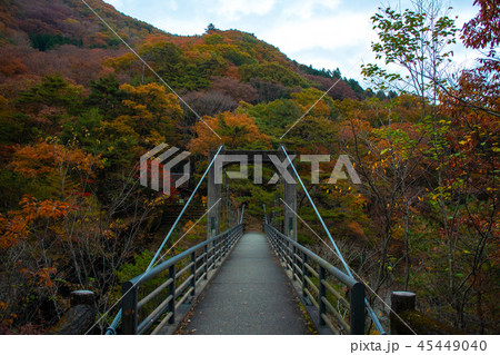 むささび橋 龍王峡の紅葉（鬼怒川温泉・川治温泉） 45449040