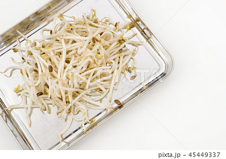 もやし もやし 45449337