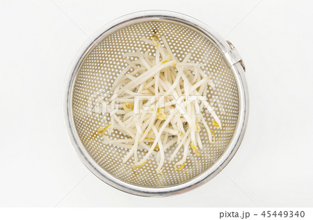 もやし もやし 45449340