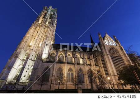 Saint Rumbold's Cathedral in Mechelen Saint Rumbold's Cathedral in Mechelen 45454189