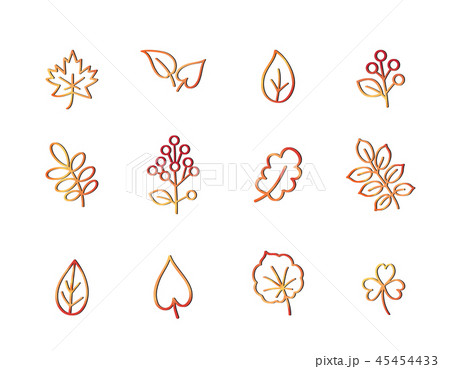 Autumn icon set. Fall leaves. Nature symbols Autumn icon set. Fall leaves. Nature symbols 45454433