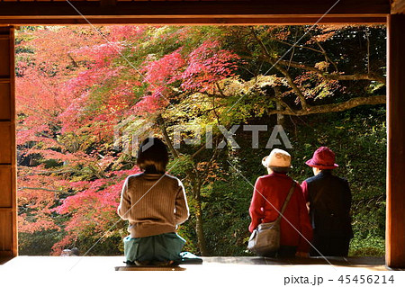広島県安芸太田町の吉水園の紅葉 広島県安芸太田町の吉水園の紅葉 45456214