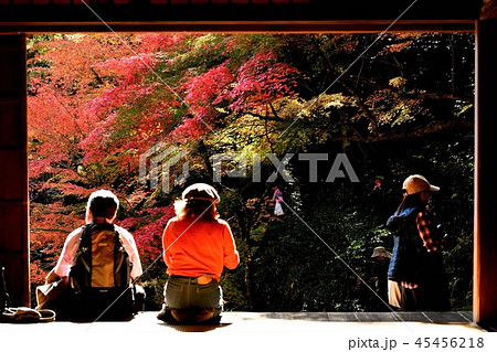 広島県安芸太田町の吉水園の紅葉 広島県安芸太田町の吉水園の紅葉 45456218