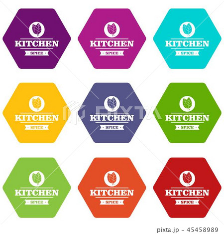 Kitchen spice icons set 9 vector 45458989