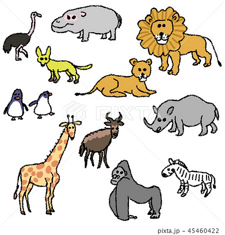 動物たち 動物たち 45460422