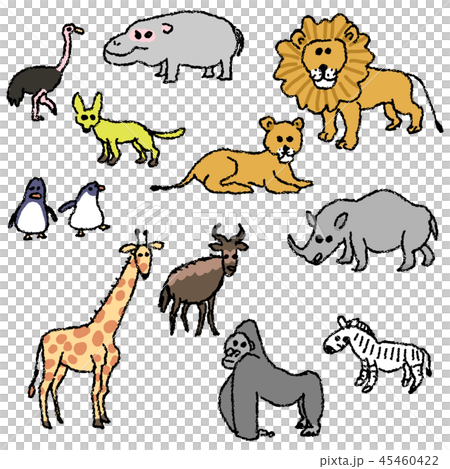 動物たち 動物たち 45460422