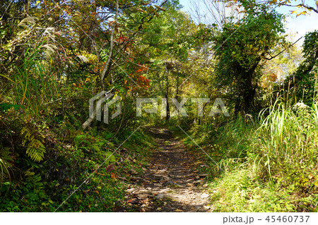五色沼 紅葉 福島県」 五色沼 紅葉 福島県」 45460737