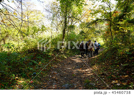 五色沼 紅葉 福島県」 五色沼 紅葉 福島県」 45460738