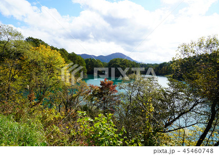五色沼　紅葉　福島県」 45460748