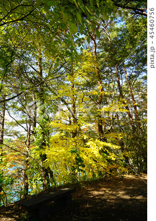 五色沼　紅葉　福島県」 45460756