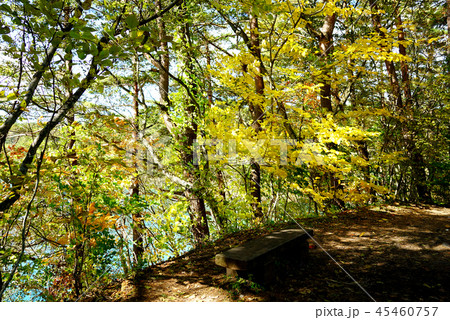 五色沼　紅葉　福島県」 45460757