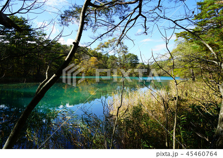 五色沼 紅葉 福島県」 五色沼 紅葉 福島県」 45460764