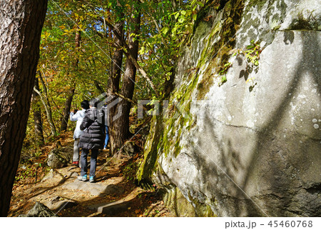 五色沼 紅葉 福島県」 五色沼 紅葉 福島県」 45460768