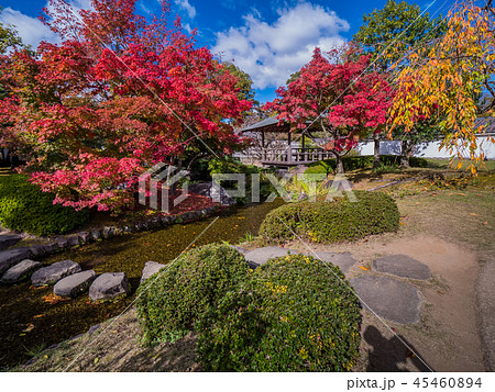 日本の美しい庭 姫路城西御屋敷跡庭園好古園の紅葉 姫路公園 姫路城内にある日本庭園 庭木 盆栽 日本の美しい庭 姫路城西御屋敷跡庭園好古園の紅葉 姫路公園 姫路城内にある日本庭園 庭木 盆栽 45460894