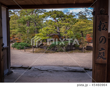 日本の美しい庭 姫路城西御屋敷跡庭園好古園の紅葉 姫路公園 姫路城内にある日本庭園 庭木 盆栽 日本の美しい庭 姫路城西御屋敷跡庭園好古園の紅葉 姫路公園 姫路城内にある日本庭園 庭木 盆栽 45460964