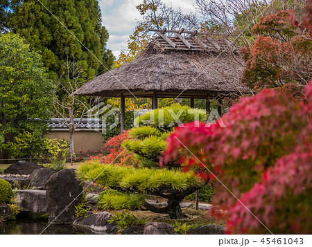 日本の美しい庭　姫路城西御屋敷跡庭園好古園の紅葉　 姫路公園　姫路城内にある日本庭園　庭木　盆栽 45461043