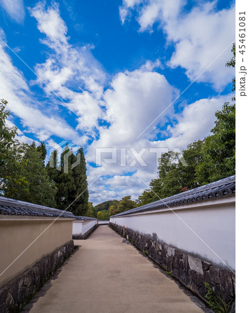 日本の美しい庭 姫路城西御屋敷跡庭園好古園の紅葉 姫路公園 姫路城内にある日本庭園 庭木 盆栽 日本の美しい庭 姫路城西御屋敷跡庭園好古園の紅葉 姫路公園 姫路城内にある日本庭園 庭木 盆栽 45461081