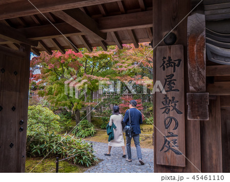 日本の美しい庭 姫路城西御屋敷跡庭園好古園の紅葉 姫路公園 姫路城内にある日本庭園 庭木 盆栽 日本の美しい庭 姫路城西御屋敷跡庭園好古園の紅葉 姫路公園 姫路城内にある日本庭園 庭木 盆栽 45461110