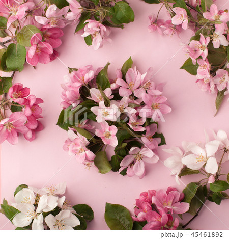 Festive flower apple tree composition on the paste 45461892