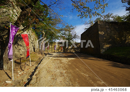 鶴ヶ城の道 45463068