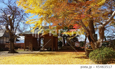 秋の大龍寺・山門（福島県・会津若松市） 45463517