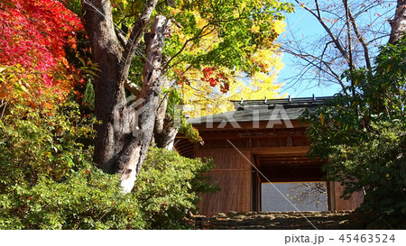 秋の大龍寺・山門（福島県・会津若松市） 45463524