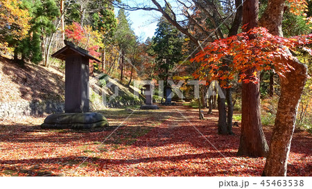 松平家墓所（福島県・会津若松市） 45463538