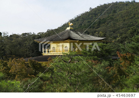 金閣寺 45463697