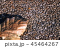 Leaves dry on gravel. 45464267