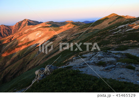 東北飯豊連峰　飯豊山山頂直下本山小屋の朝　朝陽に映える飯豊山山頂と大日岳の雄姿　 45465529