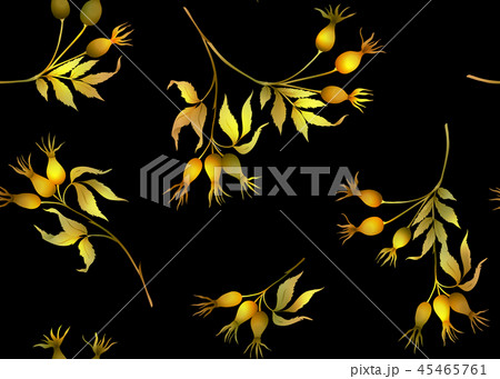 Seamless pattern, background with wild rose 45465761