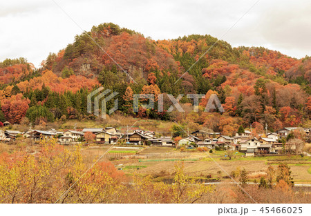 六合村　赤岩地区　紅葉 45466025