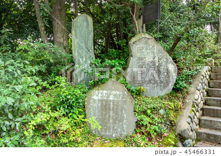 住吉神社 住吉神社 45466331