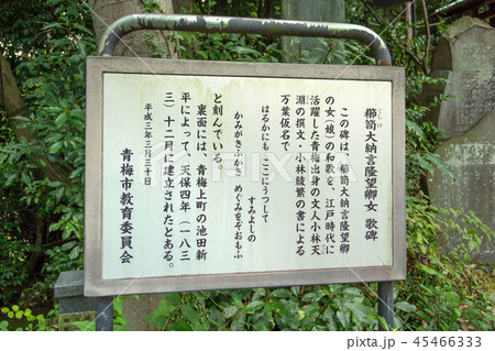 住吉神社 住吉神社 45466333