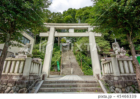 東京都青梅市の史跡、住吉神社 東京都青梅市の史跡、住吉神社 45466339