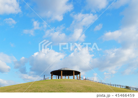 碧南市臨海公園　碧の山（ソリ滑り） 45466459