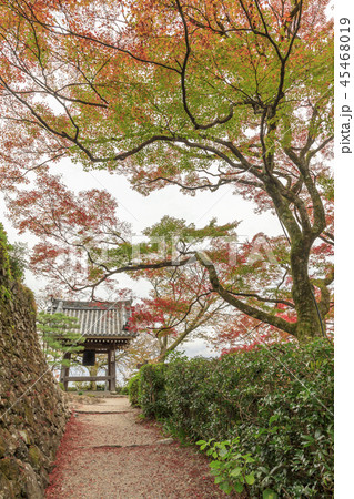 善峯寺 紅葉 善峯寺 紅葉 45468019