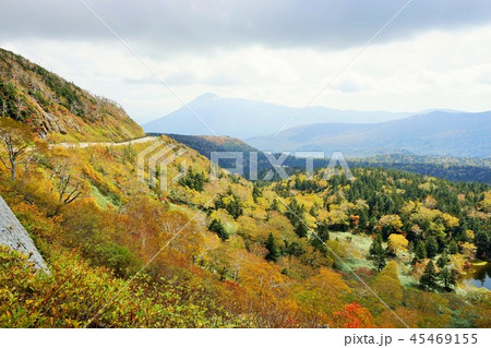 行ってみよう紅葉の八幡平 45469155