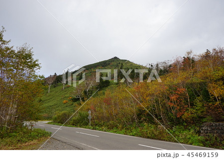 行ってみよう紅葉の八幡平 45469159