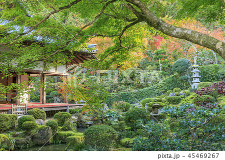 三千院　紅葉 45469267