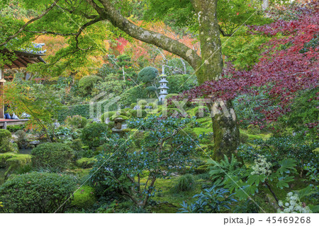 三千院 紅葉 三千院 紅葉 45469268