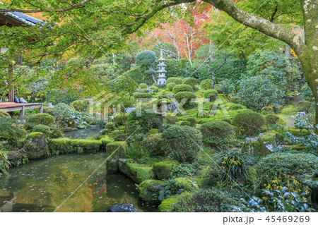 三千院 紅葉 三千院 紅葉 45469269