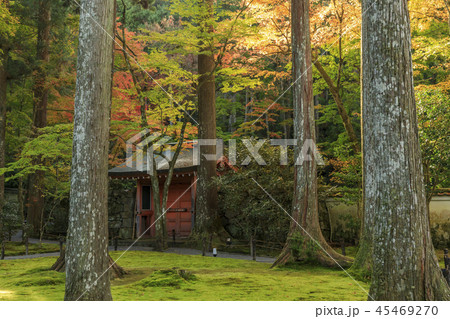 三千院 紅葉 三千院 紅葉 45469270