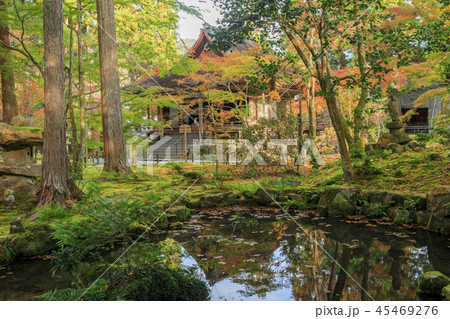 三千院　紅葉 45469276