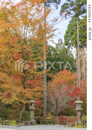 三千院 紅葉 三千院 紅葉 45469294