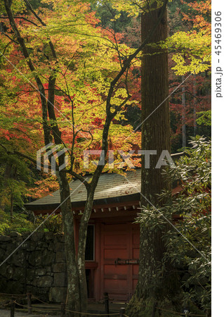 三千院 紅葉 三千院 紅葉 45469306